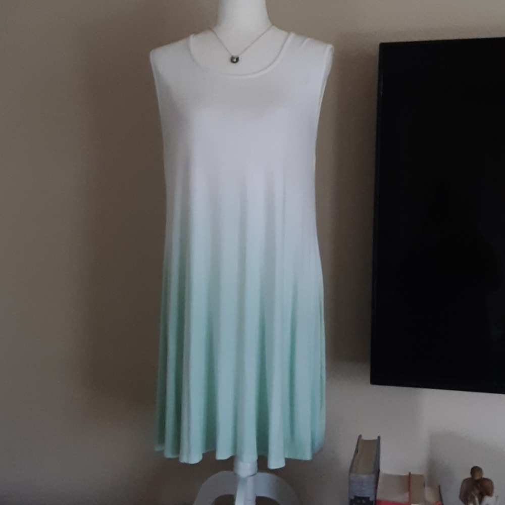 NWOT Francesca's ombre dress